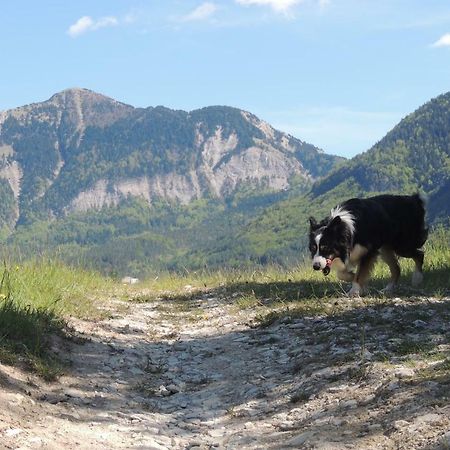 Le Colombier Bed & Breakfast Glandage Luaran gambar